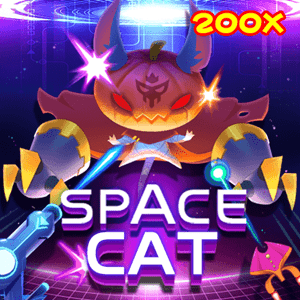 SPACE CAT